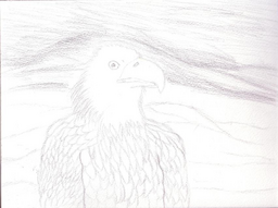 Anthro Eagle