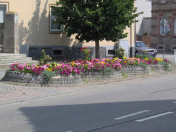 Blumen in Viernheim
